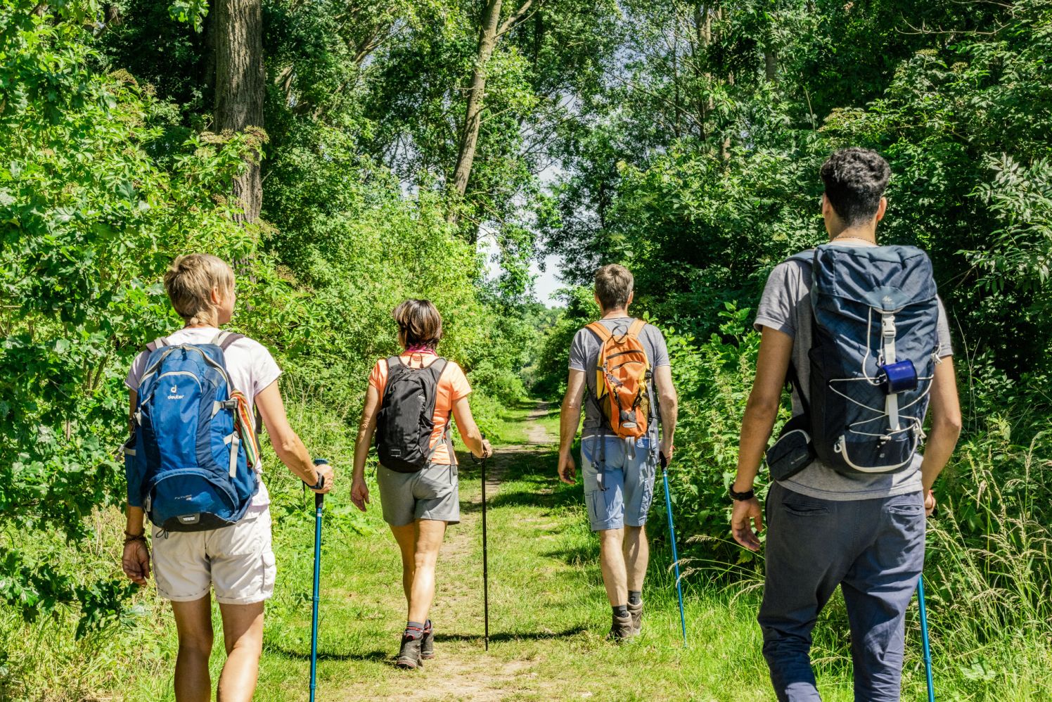 Lage resolutie-Lange afstandswandelen_0